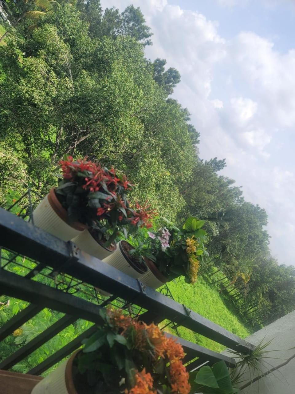 Serene Home Stay Bangalore Esterno foto